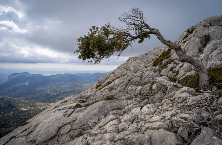 Delray Beach: The Importance of Resilience in Overcoming Trauma